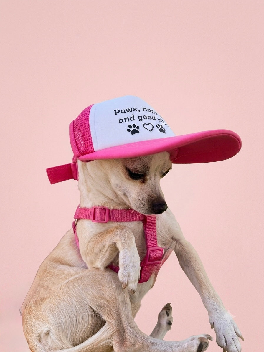 Paws, Naps & Good Vibes Pet Hat